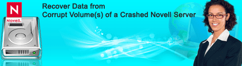 Novell Data Recovery