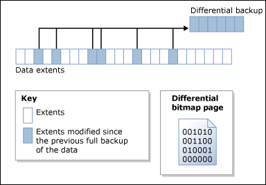 Differential backup using Transact SQL commands