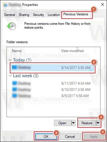 Go to the Previous Versions tab