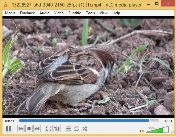 VLC media player