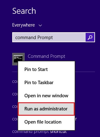 Run as Administrator option