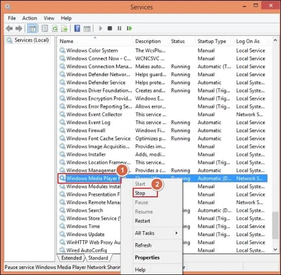 Windows Media Player Network Sharing Service