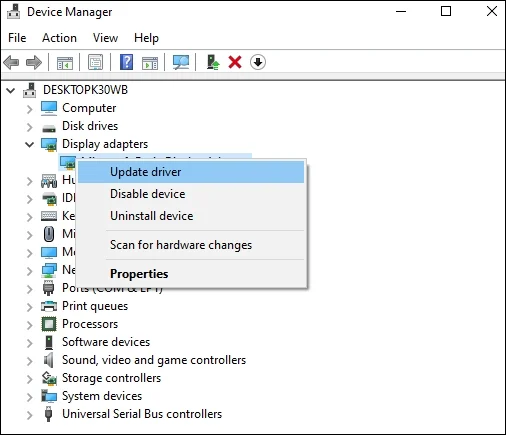 display driver and select Update driver