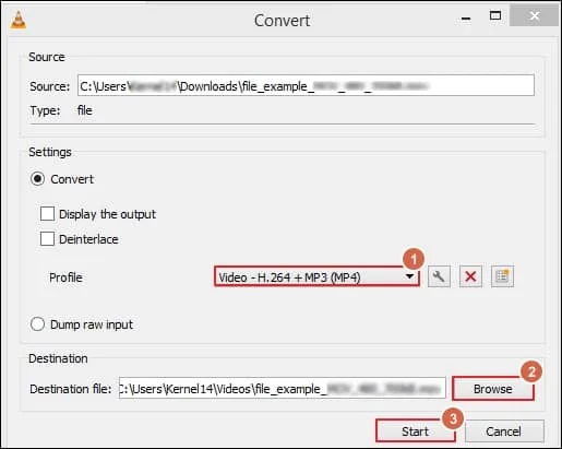 choose the format of the video