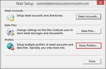 Show Profiles option