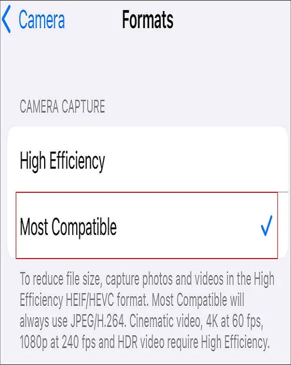 Select the most compatible formats