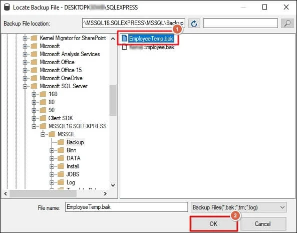 select backup file