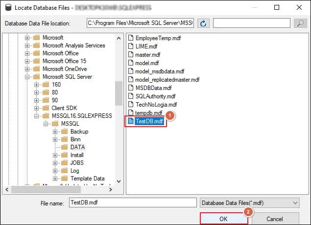 Database Data File location