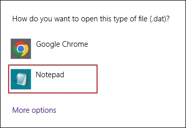 option to access the file