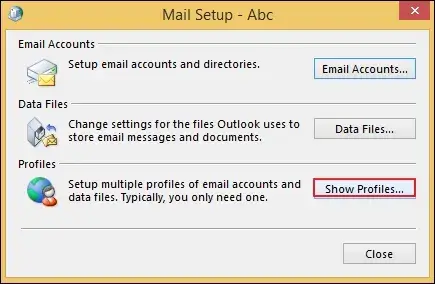 Tap on Show Profiles to continue