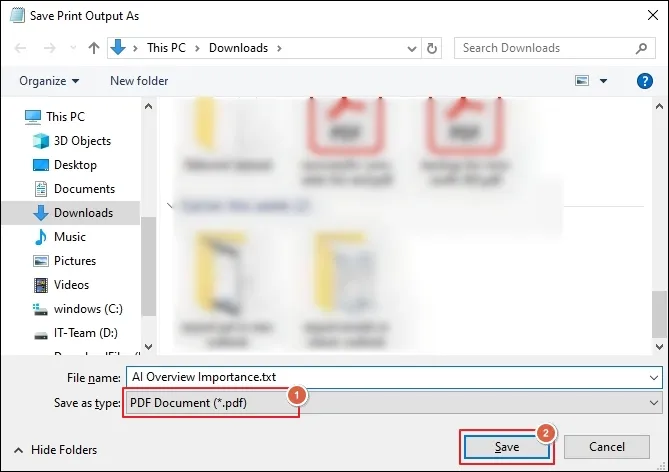 Choose the PDF Document type and click Save