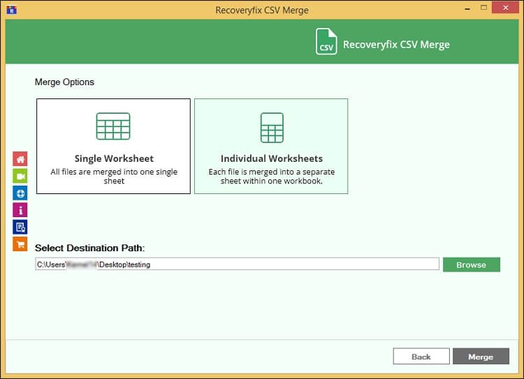 Individual Worksheets