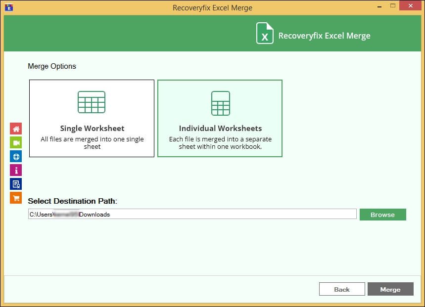 Choose Individual Worksheet