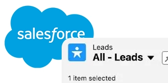 Export Leads from Salesforce