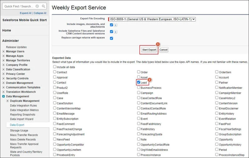 Start Export