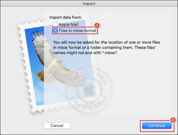Choose file formats